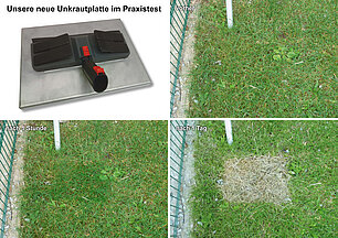 Unkrautvernichtung mit einem Dampfreiniger